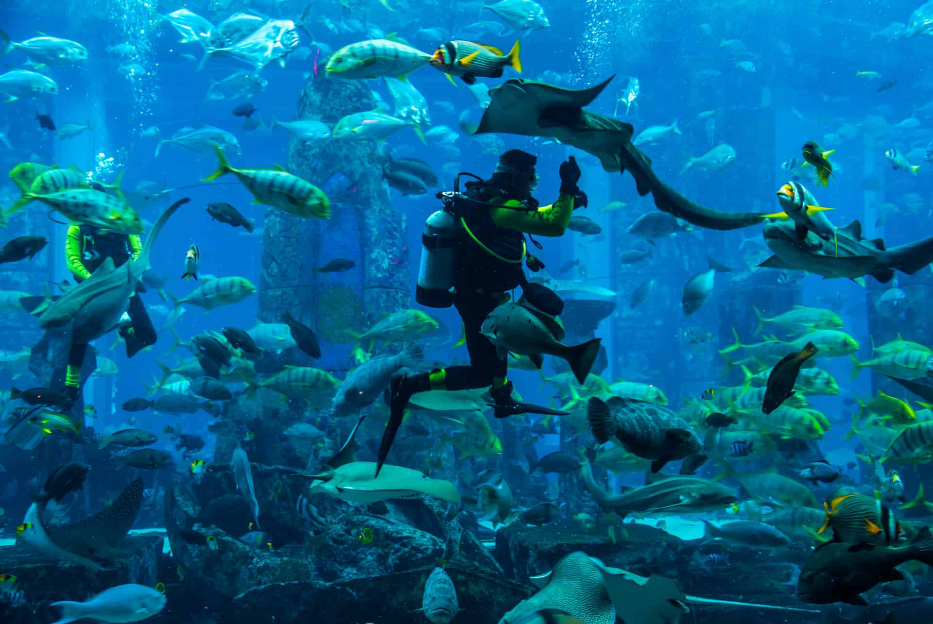 buceo aquarium atlantis